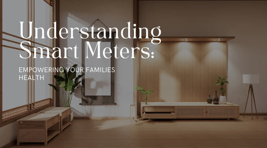 Understanding Smart Meters: Empowering Your Families Health