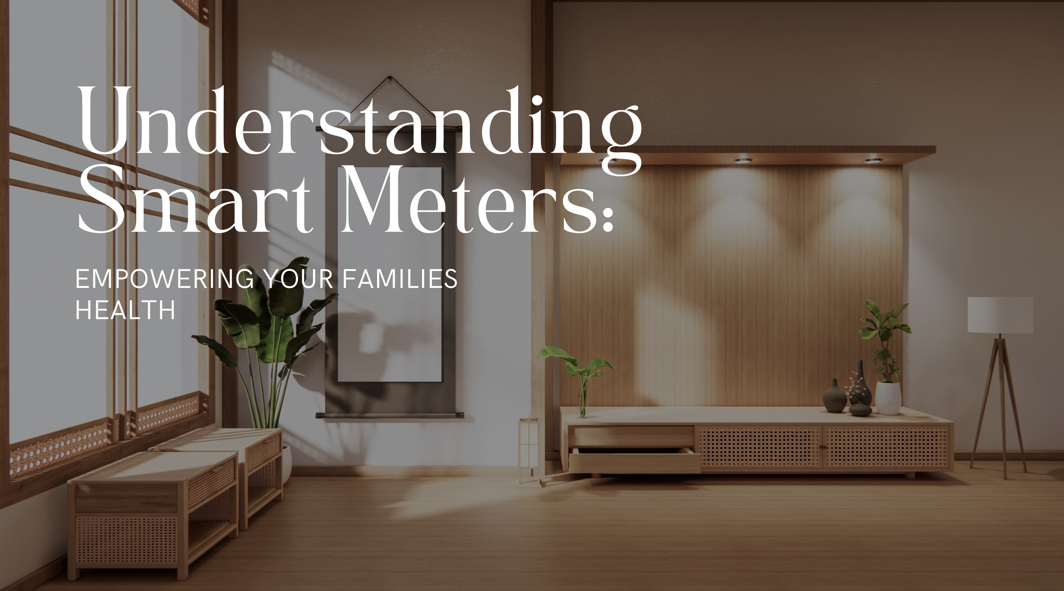 Understanding Smart Meters: Empowering Your Families Health – Schild