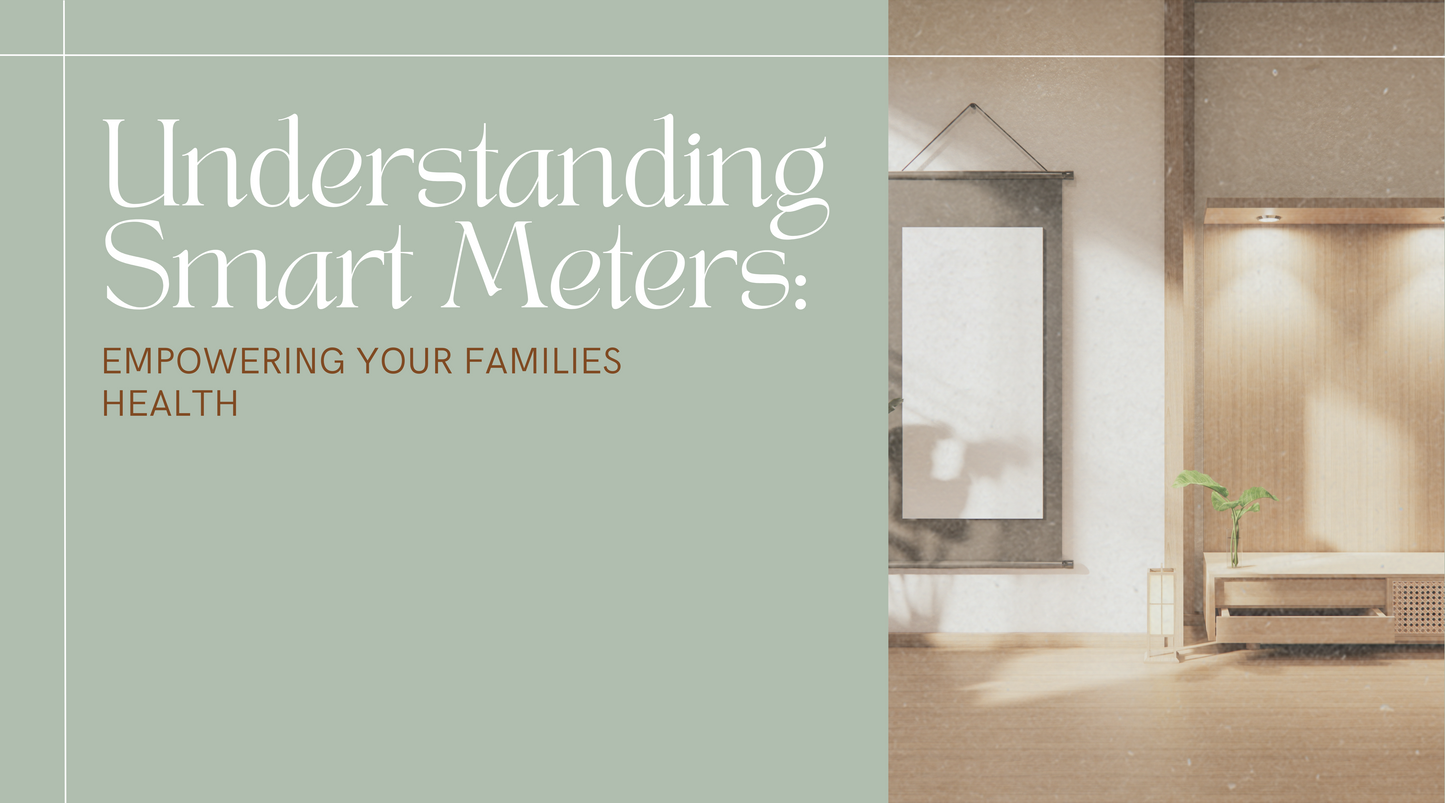 Understanding Smart Meters: Empowering Your Families Health